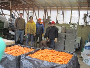 Janaki, Adam, Dave, Jeanne and Patricia