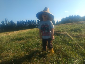 img_20180906_171636466