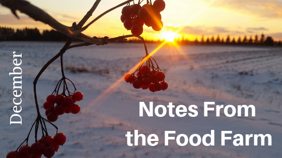 Copy of farm to table