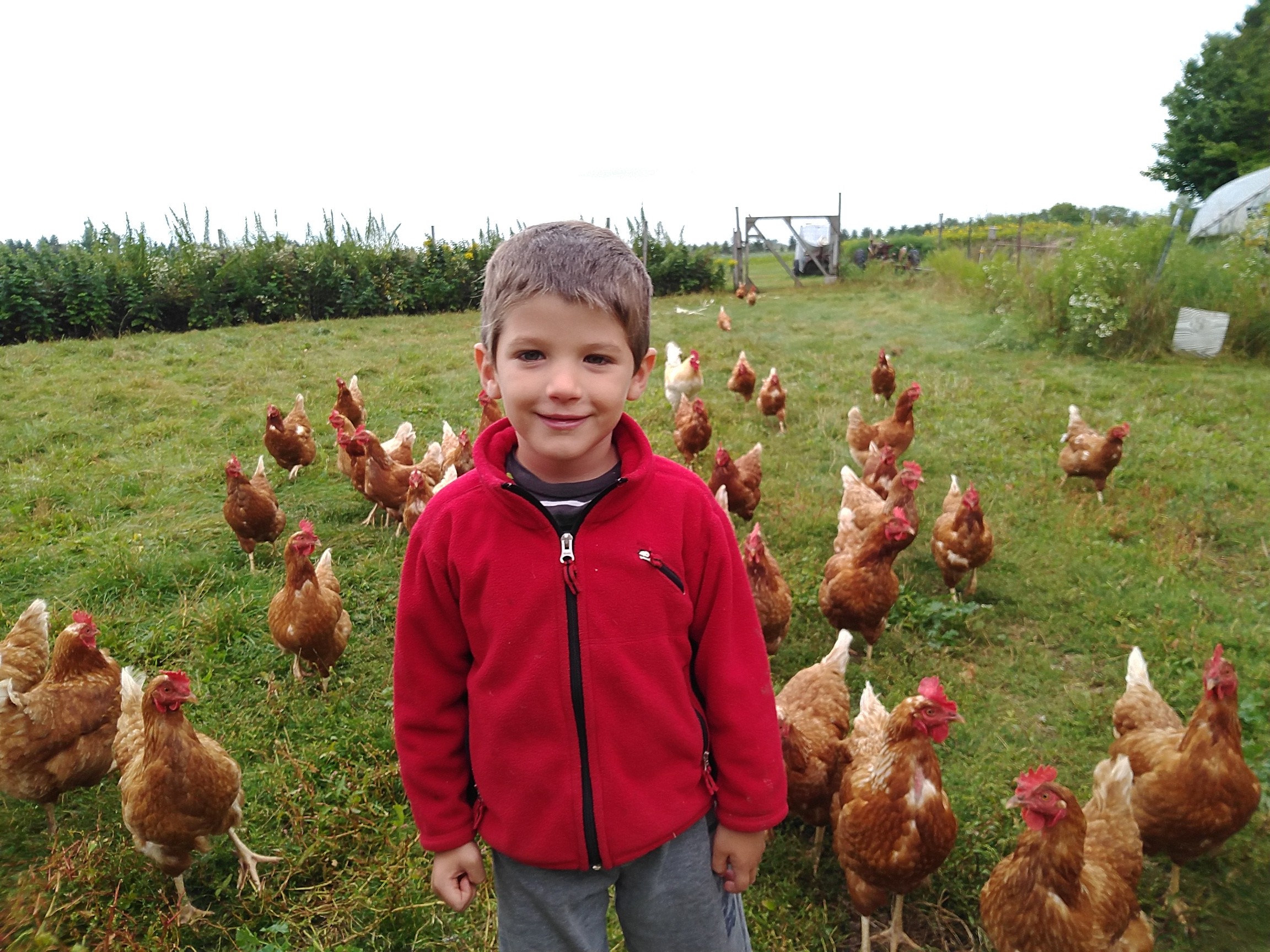 img_20190901_084516171