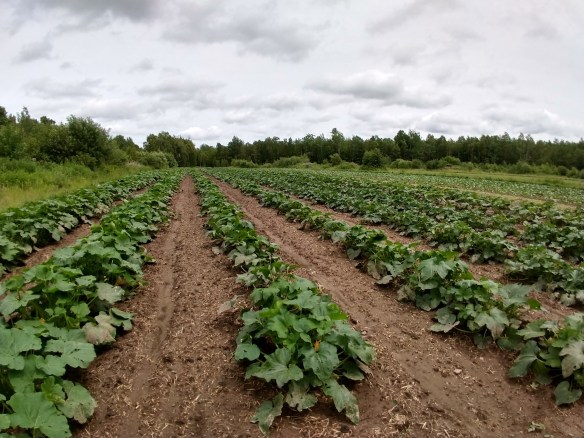 img_20200709_141236747_hdr